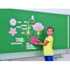 Plansa magnetica - floarea de cires 