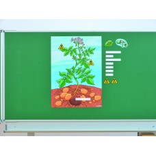 Plansa magnetica - Cartoful